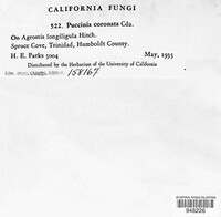 Image Associated With the Occurence